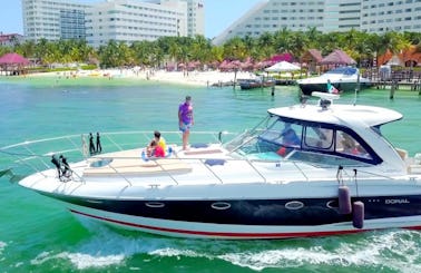 Big Blue 48 ft Doral Motor Yacht for rent in Cancún, Quintana Roo