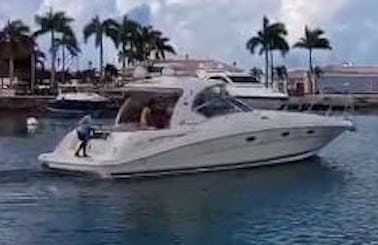 Sea Ray Yacht in Dominicus