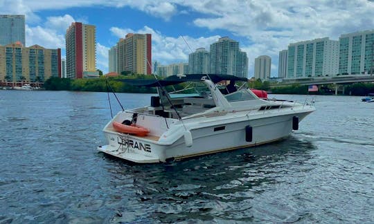 🌊48Ft Searay!!! Refresh Yourself in the Waters and Sea Breeze🌊