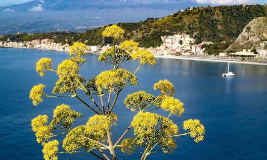 Scuba Diving & Snorkeling Tour in Taormina