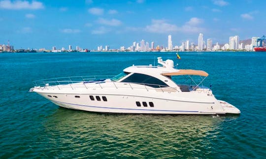 62ft Searay Sundancer Motor Yacht rental in Cartagena de Indias, Bolívar
