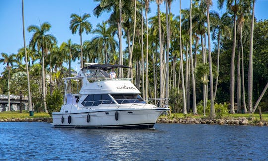 Two Floors 42ft Bayliner Motor Yacht Rental In Miami, FL