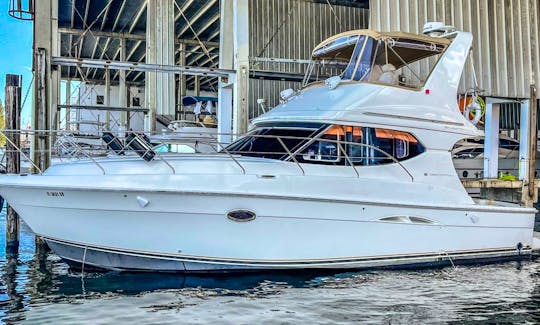 ⚓Silverstone 41ft Motor Yacht!!!!✨ Vacation and Live Your Experience in Miami River⚓