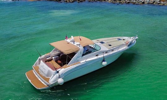 Yacht à moteur Sea Ray Sundancer de 48 pieds (tout compris) à Tulum