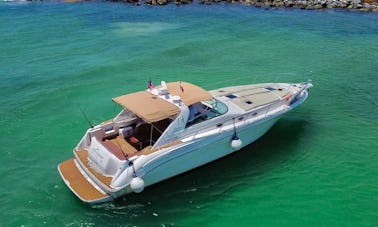 Sea Ray Sundancer 48ft Motor Yacht (All Inclusive) in Tulum