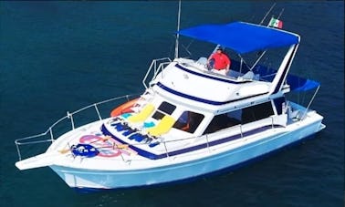 Charter  42' Italian Pride (water toys & certified Whale watcher) bilingual Crew
