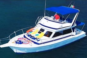Charter  42' Italian Pride (water toys & certified Whale watcher) bilingual Crew