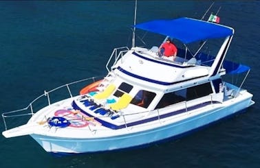 Charter  42' Italian Pride Whale Watchers (certified) Cruiser with English Speaking Crew - Holding 14 in Zihuatanejo, Ixtapa