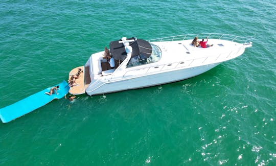 💣Enjoy the Miami River and its waters with the beautiful 55Ft Searay!!💣