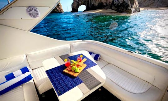 31ft Blue Bayliner Yacht for rent in Cabo San Lucas Baja California Sur