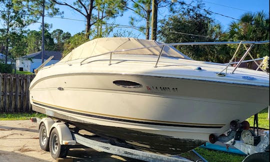 24ft Searay Cruiser Boat Rental in Palm Bay, Florida!