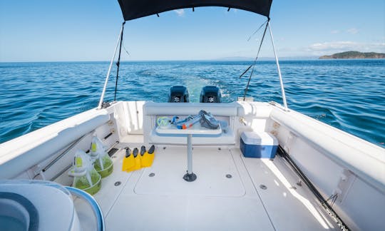 Pêchez ou faites du tourisme en yacht à moteur de 32 pieds dans la province de Guanacaste !