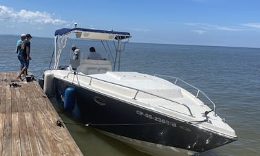 Viaje en Cartagena de Indias, Bolívar a bordo del yate de pesca deportiva Donzi de 33 pies