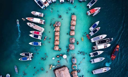 Island Hoping in Cartagena de Indias, Bolívar with Donzi 33 Sport Yacht
