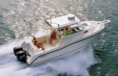 33ft Boston whaler conquest ( fishing, snorkeling, beach )