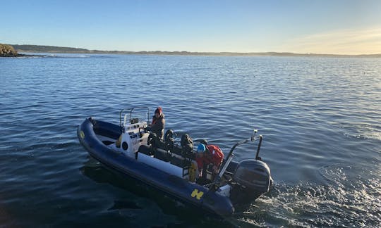 Humber Destroyer RIB en alquiler en la costa norte de Escocia