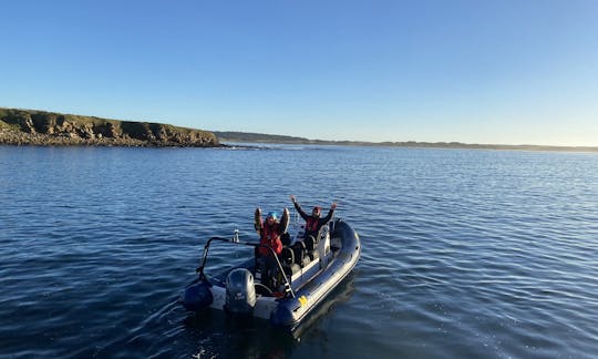 Humber Destroyer RIB en alquiler en la costa norte de Escocia