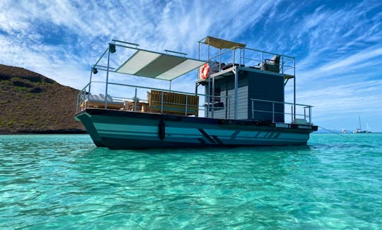 Amazing Isla Allora  Tour in Cabo San Lucas, Mexico! captain + fuel + handeck included in quote..