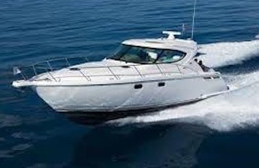 43ft Tiara Motor Yacht Rental in Punta Cana, La Altagracia