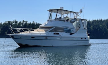 NEXUS, 41' Sport Yacht made for the PNW. Cruise Seattle Lakes and Puget Sound