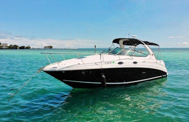 Sea Ray Sundancer 33ft Personalized Miami Water Adventure!
