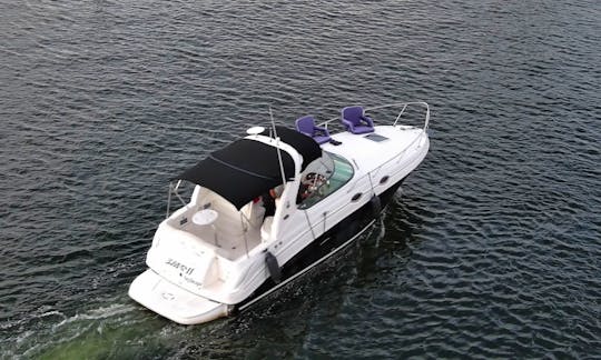 Sea Ray Sundancer 33ft Personalized Miami Water Adventure!