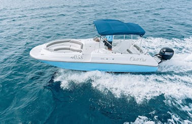 Larson 23ft Private deck boat with a captain included - The ultimate Aruba experience