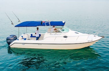 Gulf Craft 34 for Fishing or Cruising in Dubai
