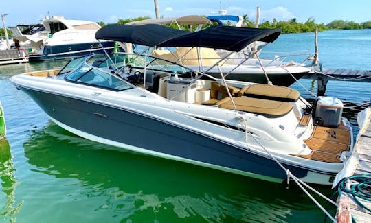 Sea Ray SLX 270 Deck Boat for 8 ppl including floating mat in Cancún, Quintana Roo