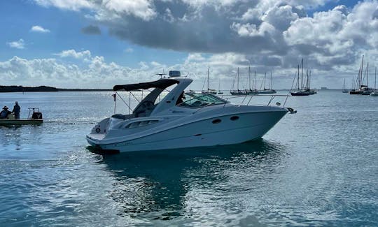 Sea Ray Sundancer 290 Motor Yacht Rental in Miami, Florida