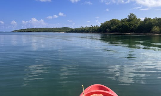 Kayak Rental Experience