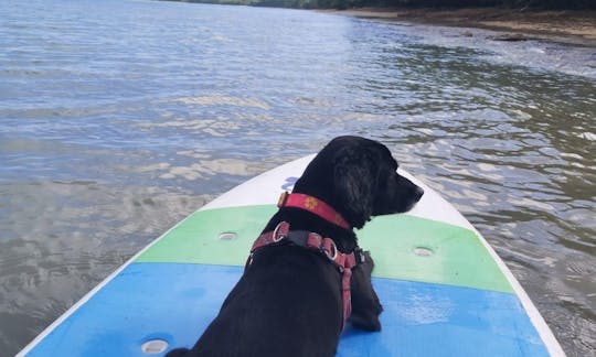 Experiência de aluguel de stand up paddleboard