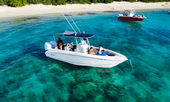 Half Day Manta VIP Boat Tour on 27tf Boston Whaler Outrage Boat