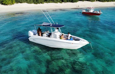 Half Day Snorkeling and Boat Experience with Appetizer and Drinks