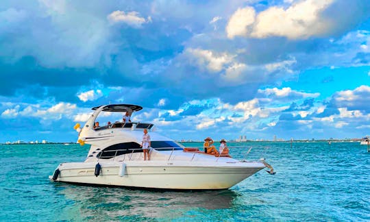 Sea Ray 50' FlyBridge in Miami 1 HOUR FREE (MON - THU)