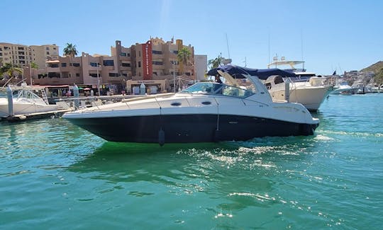37ft Sundancer Motor Yacht in Cabo San Lucas