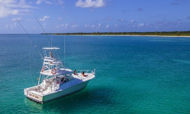 Luhrs de 40 pés para a melhor pesca em Puerto Aventuras, Riviera Maya