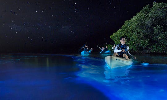 Kayaks gliding gently through the luminescent water. It is truly and amazing experience.