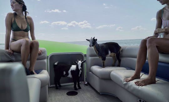 Luxury 27ft Tritoon on Lake Austin - With Captain & Optional Goats