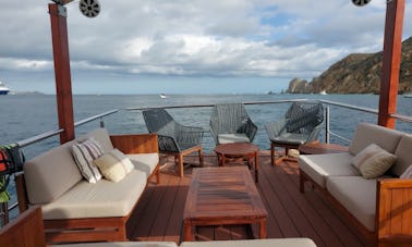 Amazing private party tour on Deva catamaran, captain and fuel includes 