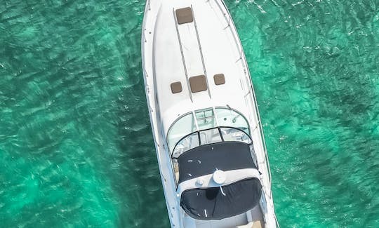 Sea Ray 40' (VICE II) Motor Yacht FREE HOUR in Miami Beach, Florida
