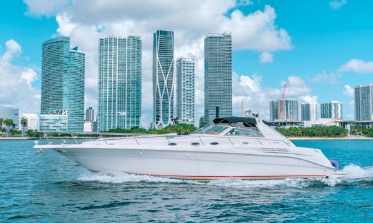 Sea Ray 50' (VICE III) Motor Yacht Rental in Miami Beach, Florida with FREE HOUR