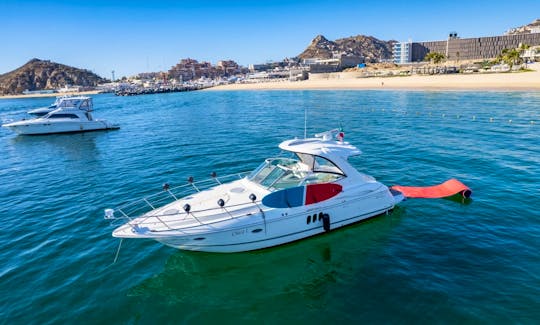 42ft Cruiser express Motor Yacht Rental in Cabo San Lucas, Baja California Sur❤️🥳