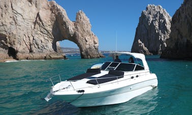 Location d'un yacht Sea Ray privé de 33 pieds à Cabo San Lucas