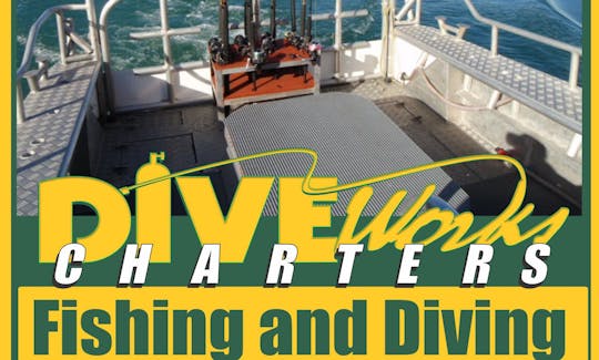 Diveworks Charters - Dolphin and Seal Encounters, Whale Island Tours, Fishing Trips Whakatane, New Zealand