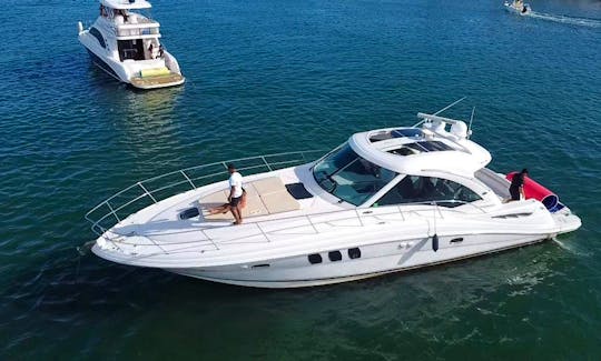 55ft Searay Sundancer Yacht Charter in Miami, Florida