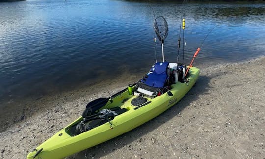 Hobie Kayak en alquiler en Ruskin