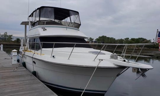 Fun In Boston Harbor On at 42Ft Luxury Yacht