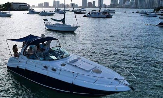Enjoy Miami In Sea Ray Sundancer 40ft Motor Yacht!!!