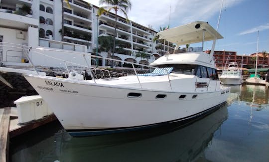 Lovely BayLiner Flybridge 38 Yacht in Puerto Vallarta